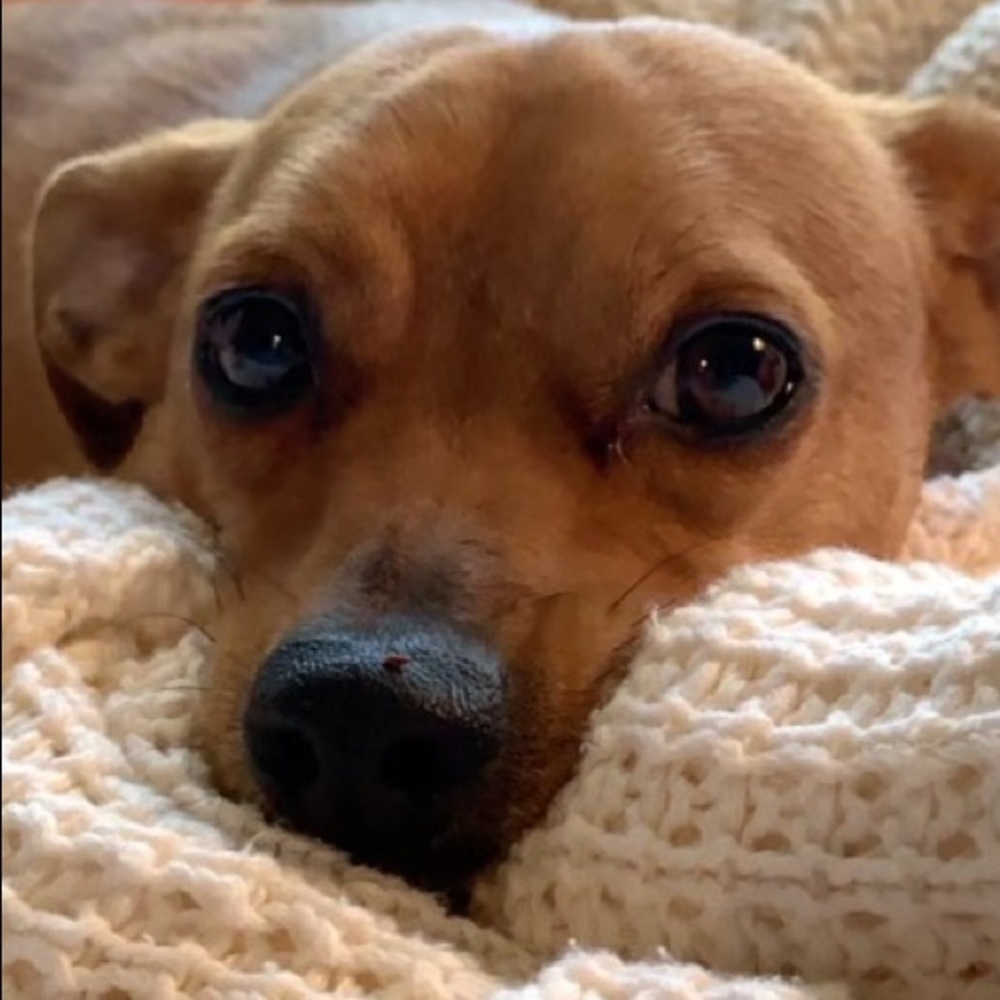 Meet your Posher, Naoko